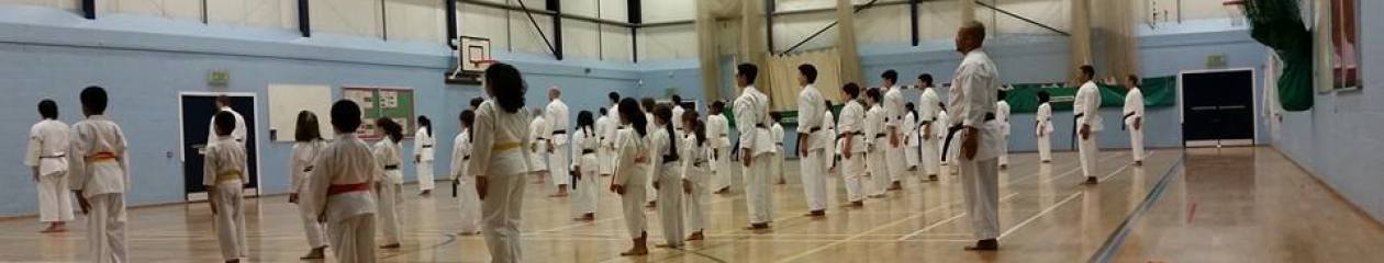 Hoshindo Karate Manchester
